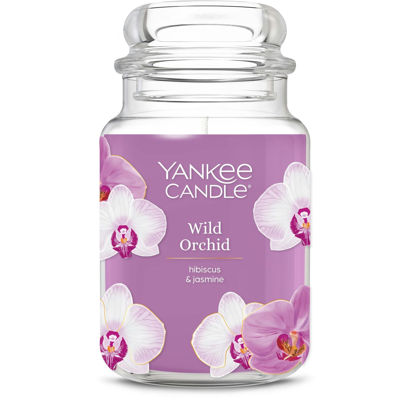 Wild Orchid (S2L3P)