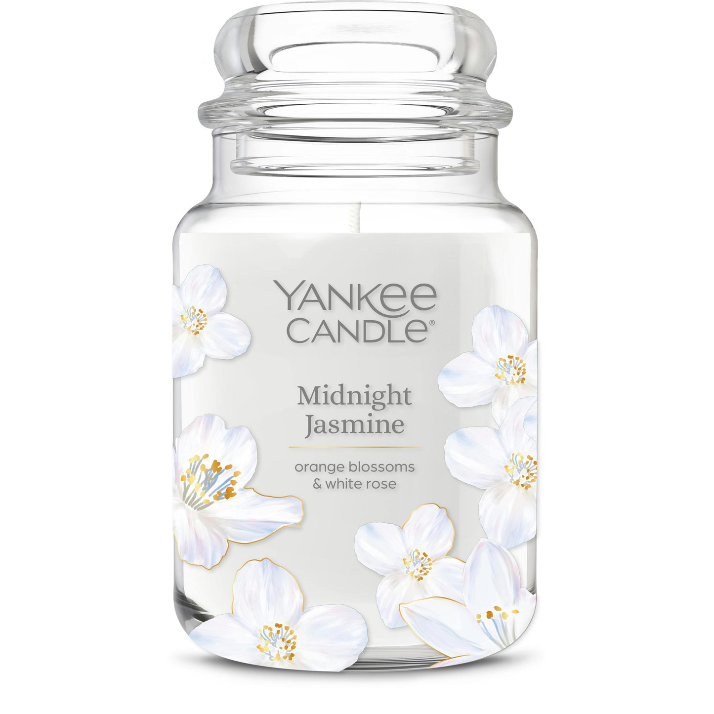 Midnight Jasmine (S29VV)