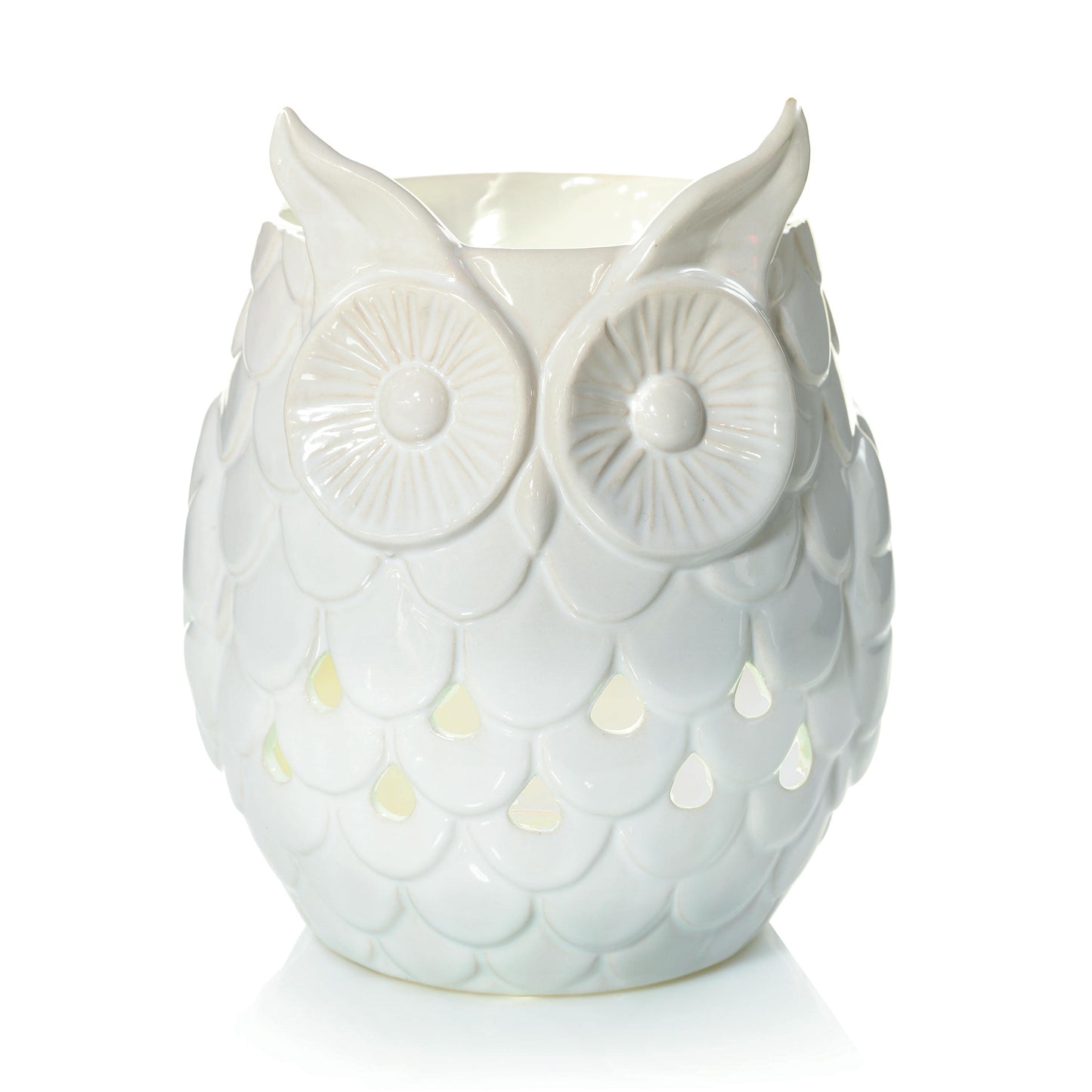 Owl (S24EJ)