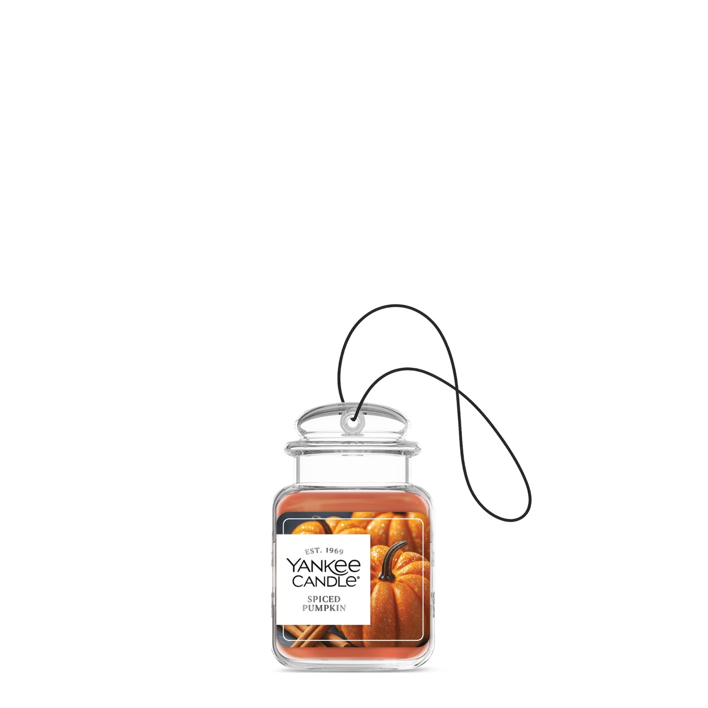 Spiced Pumpkin Blend 9-0741