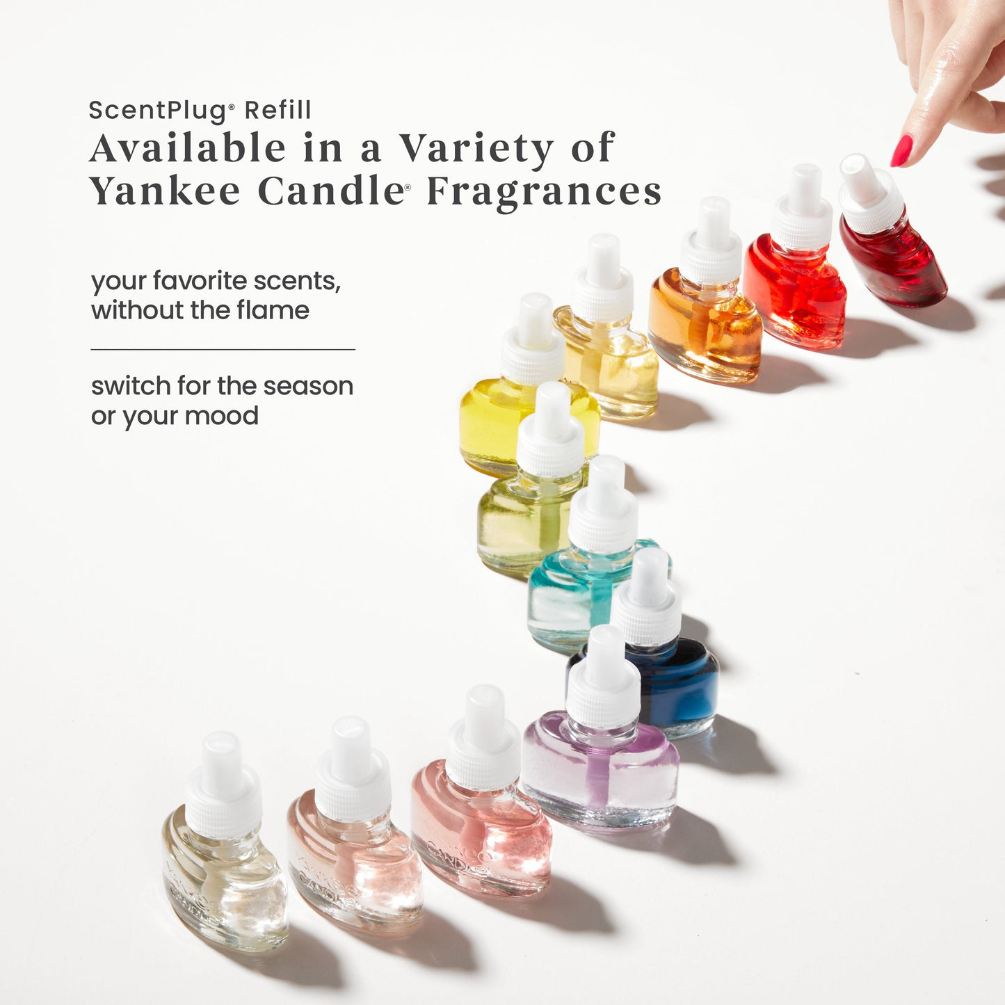 Lilac Blossoms