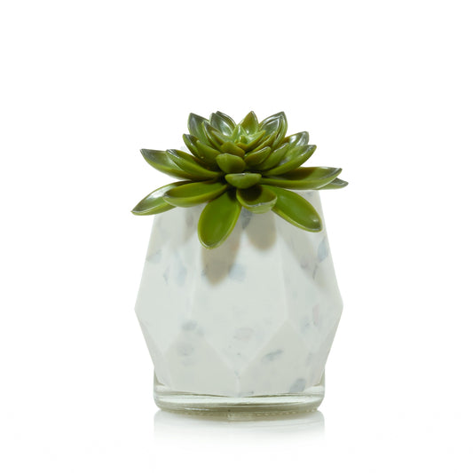 Faceted Succulent ScentPlug® Diffuser with Light (S2RJW)